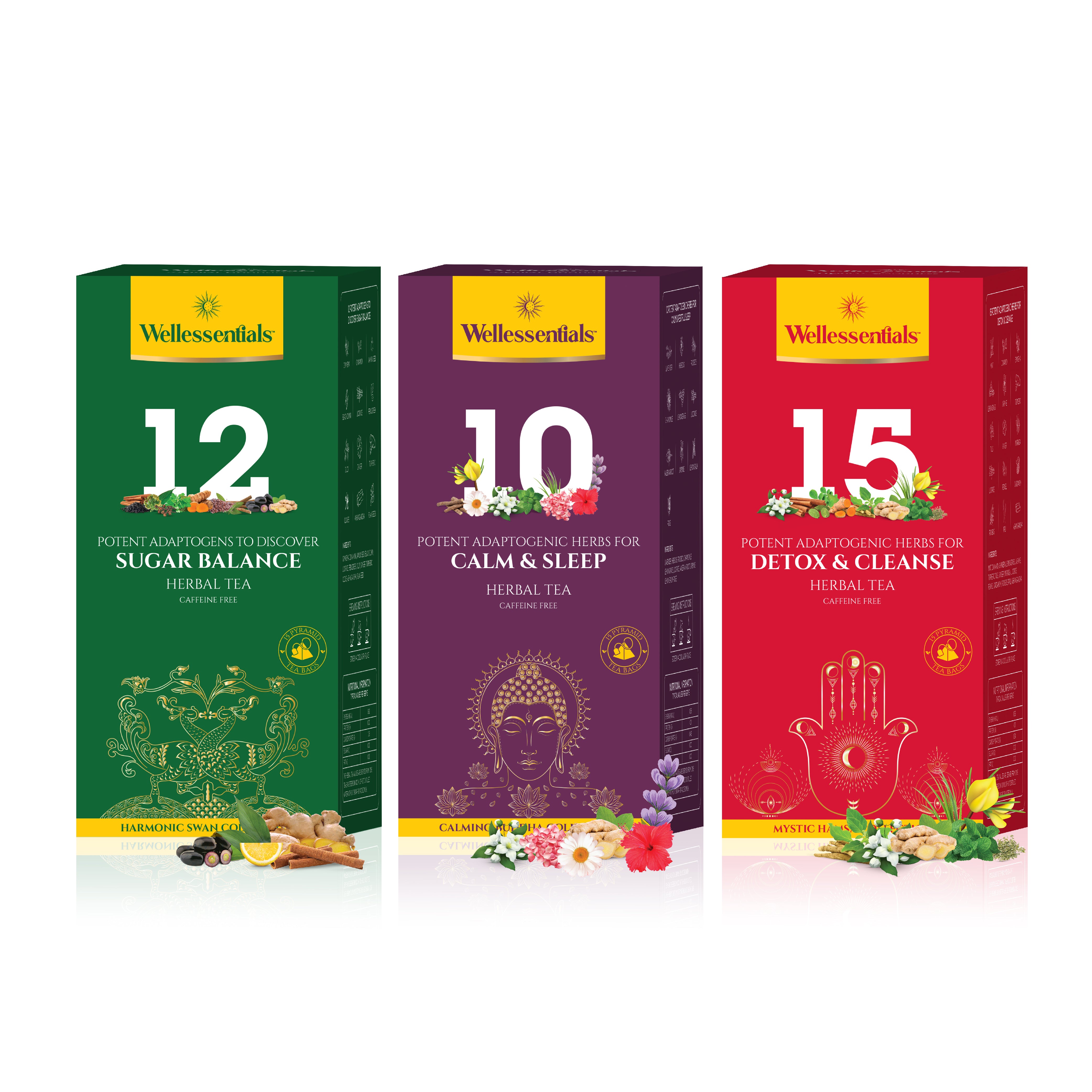Pack of 3 - Herbal Cleanse – Wellessentials