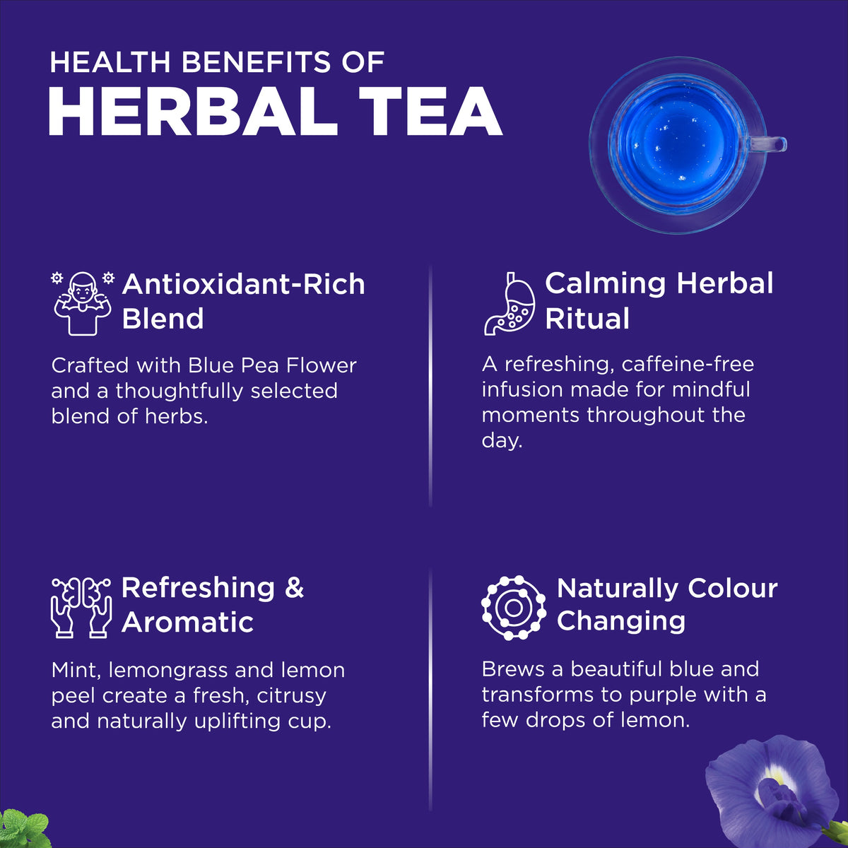 Blue Pea Detox Herbal Infusion